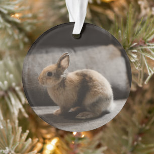 Cutest Baby Animals Netherland Dwarf Rabbit Ornament