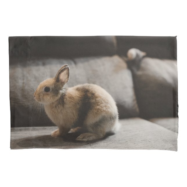 Cutest Baby Animals | Netherland Dwarf Rabbit Pillow Case (Front)