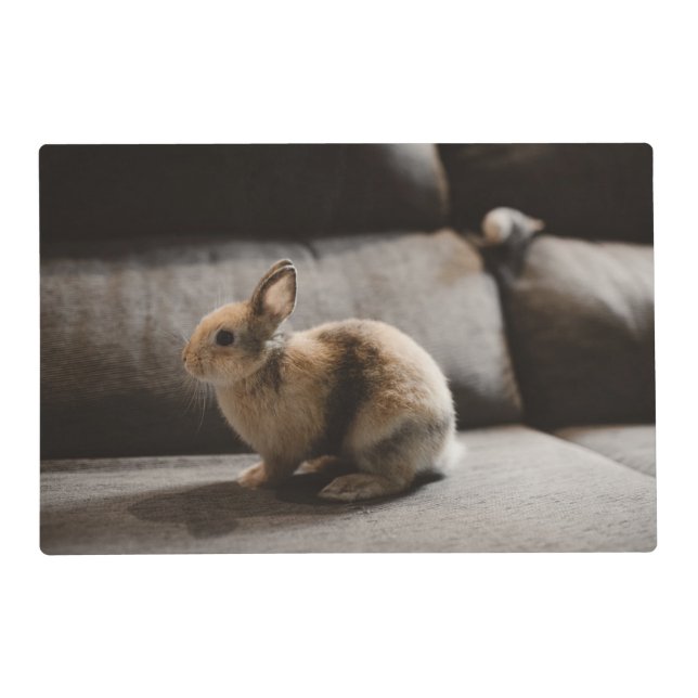 Cutest Baby Animals | Netherland Dwarf Rabbit Placemat (Front)