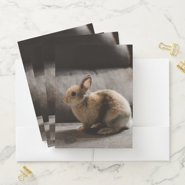 Cutest Baby Animals | Netherland Dwarf Rabbit Pocket Folder (In Situ)