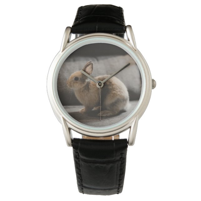 Cutest Baby Animals | Netherland Dwarf Rabbit Watch (Front)