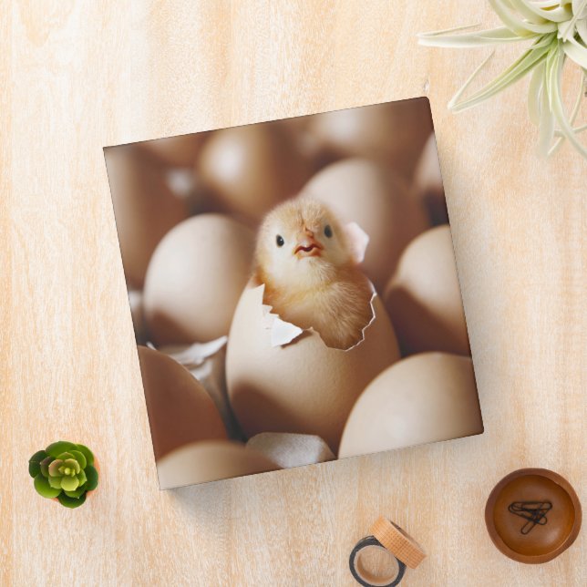 Cutest Baby Animals | New Baby Chick 3 Ring Binder (In Situ)