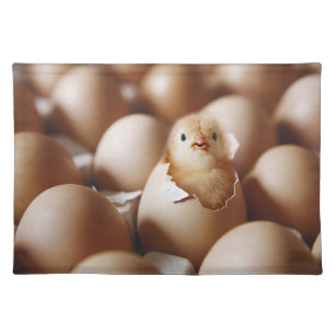 Cutest Baby Animals New Baby Chick Cloth Placemat