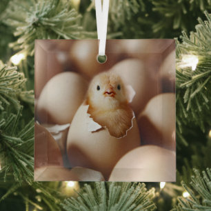 Cutest Baby Animals   New Baby Chick Glass Ornament