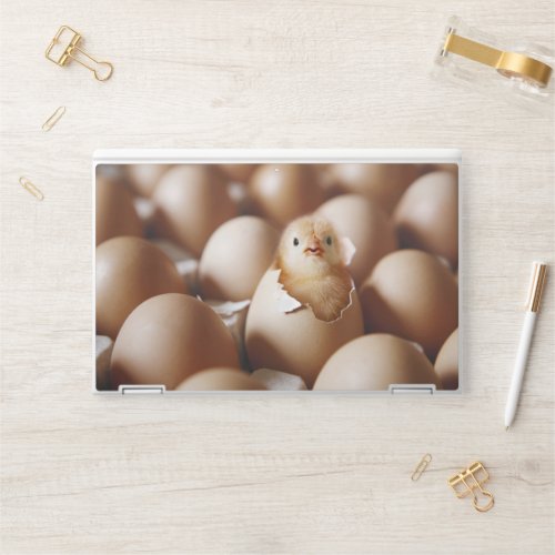 Cutest Baby Animals  New Baby Chick HP Laptop Skin