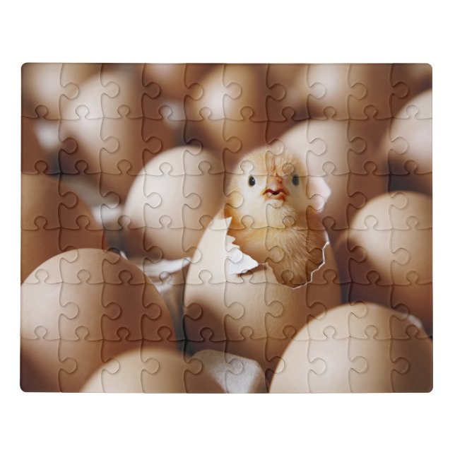 Cutest Baby Animals | New Baby Chick Jigsaw Puzzle (Puzzle Horizontal)