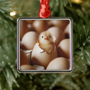 Cutest Baby Animals New Baby Chick Metal Ornament