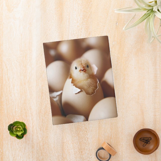 Cutest Baby Animals | New Baby Chick Mini Binder (InSitu)