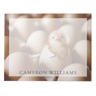 Cutest Baby Animals New Baby Chick Notepad