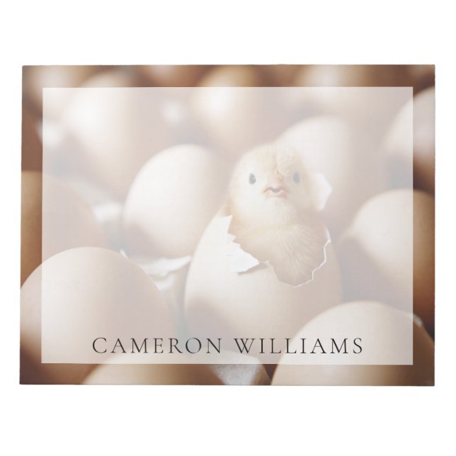 Cutest Baby Animals | New Baby Chick Notepad (Front)