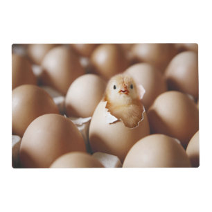 Cutest Baby Animals   New Baby Chick Placemat