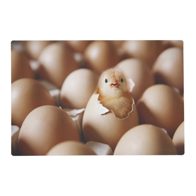 Cutest Baby Animals | New Baby Chick Placemat (Front)