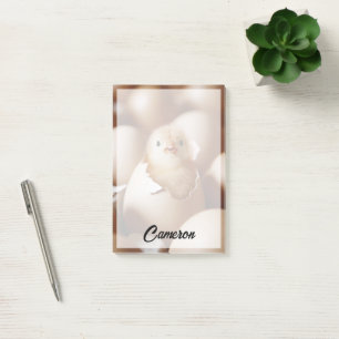 Cutest Baby Animals   New Baby Chick Post-it Notes