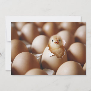 Cutest Baby Animals   New Baby Chick Thank You Card