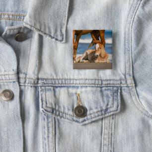 Cutest Baby Animals Newborn Corolla Wild Horse Button