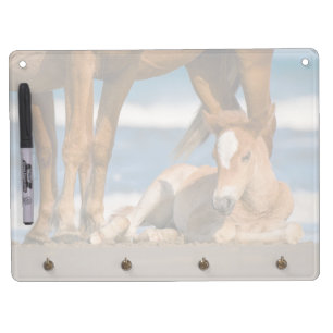 Cutest Baby Animals Newborn Corolla Wild Horse Dry Erase Board With Keychain Holder