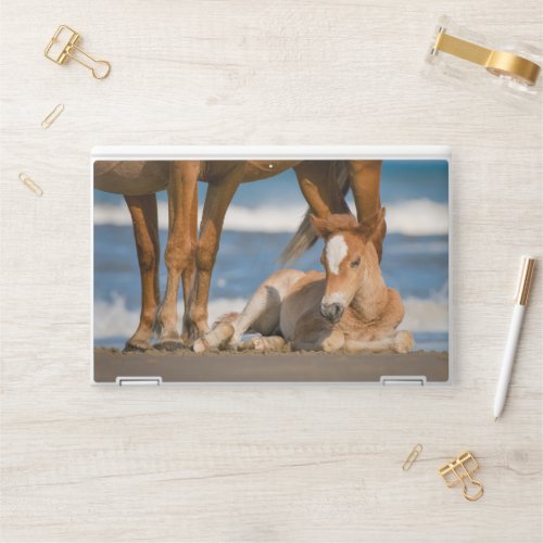 Cutest Baby Animals  Newborn Corolla Wild Horse HP Laptop Skin