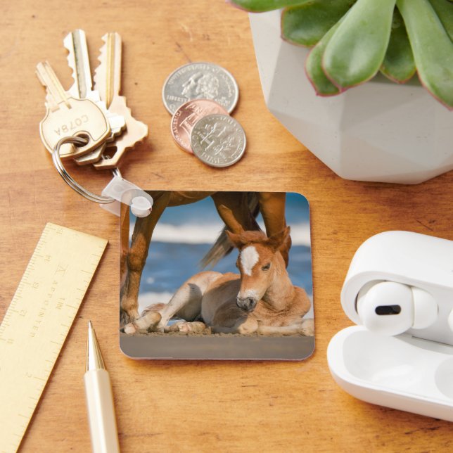 Cutest Baby Animals | Newborn Corolla Wild Horse Keychain (Desk)