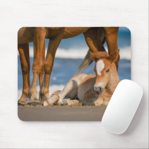 Cutest Baby Animals Newborn Corolla Wild Horse Mouse Pad