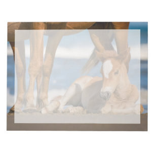 Cutest Baby Animals Newborn Corolla Wild Horse Notepad