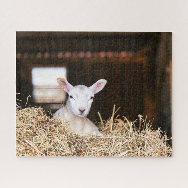 Cutest Baby Animals | Newborn Lamb Jigsaw Puzzle (Horizontal)