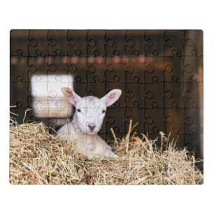 Cutest Baby Animals Newborn Lamb Jigsaw Puzzle