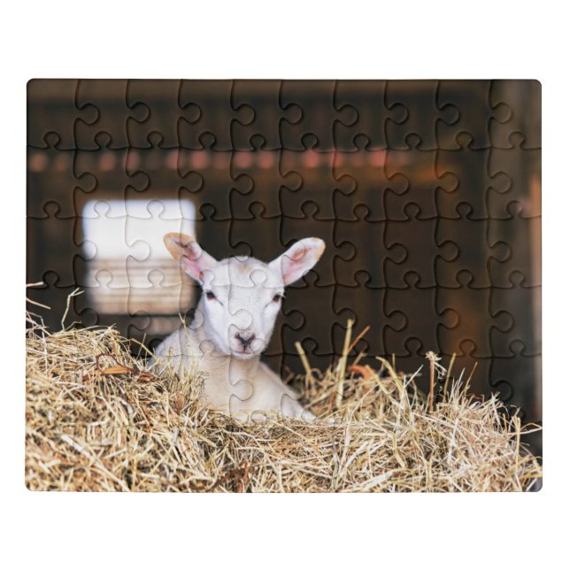 Cutest Baby Animals | Newborn Lamb Jigsaw Puzzle (Puzzle Horizontal)