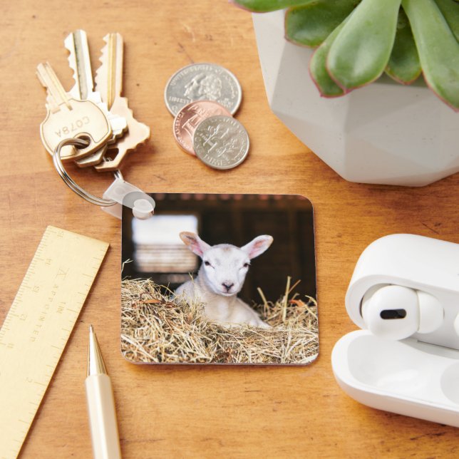 Cutest Baby Animals | Newborn Lamb Keychain (Desk)