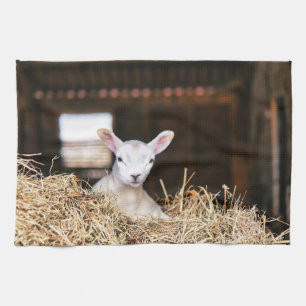 Cutest Baby Animals Newborn Lamb Kitchen Towel