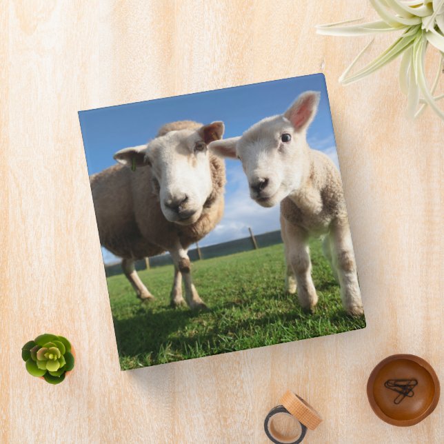Cutest Baby Animals | Newborn Lamb & Mama 3 Ring Binder (In Situ)