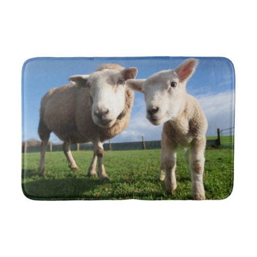 Cutest Baby Animals  Newborn Lamb  Mama Bath Mat