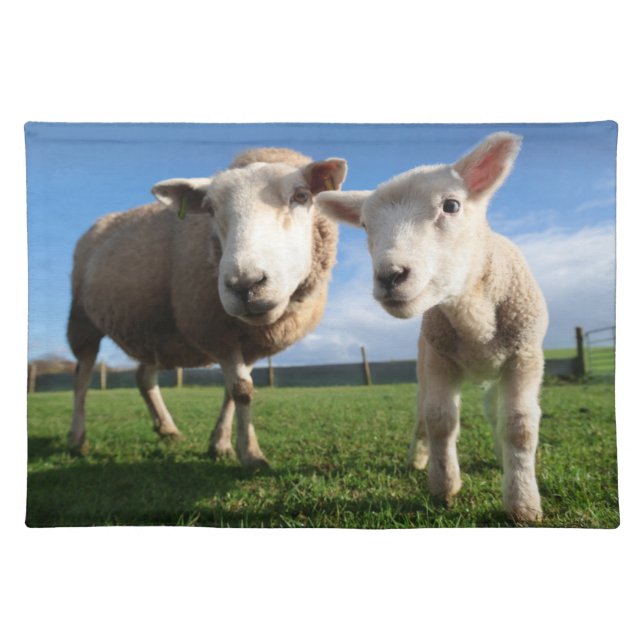 Cutest Baby Animals | Newborn Lamb & Mama Cloth Placemat (Front)