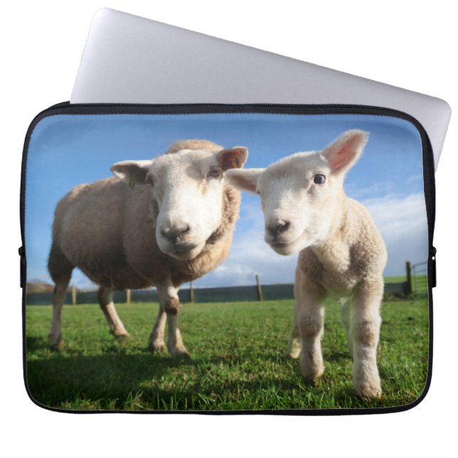 Cutest Baby Animals | Newborn Lamb & Mama Laptop Sleeve (Front)