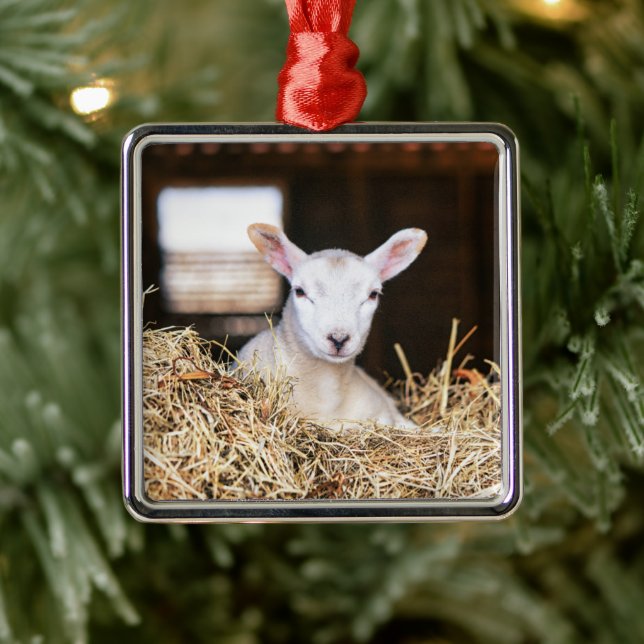 Cutest Baby Animals | Newborn Lamb Metal Ornament (Tree)