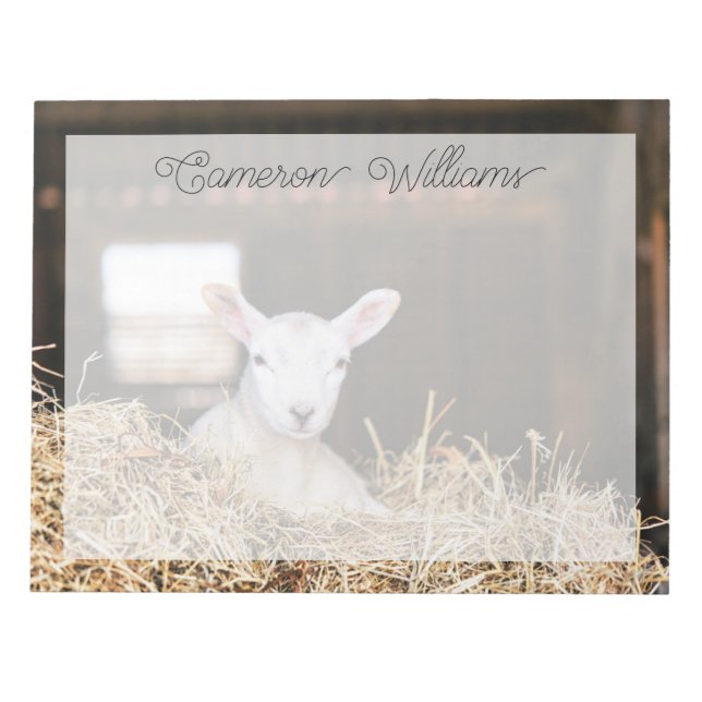 Cutest Baby Animals | Newborn Lamb Notepad (Front)