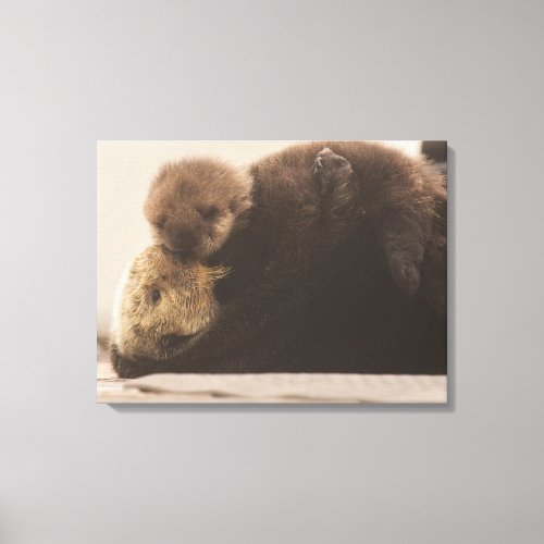 Cutest Baby Animals  Newborn Otter Pup Canvas Print