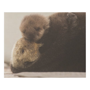 Cutest Baby Animals Newborn Otter Pup Faux Canvas Print