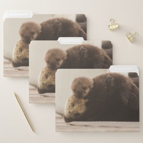 Cutest Baby Animals  Newborn Otter Pup File Folder