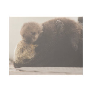Cutest Baby Animals Newborn Otter Pup Gallery Wrap