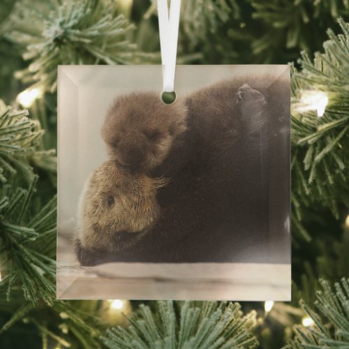 Cutest Baby Animals  Newborn Otter Pup Glass Ornament