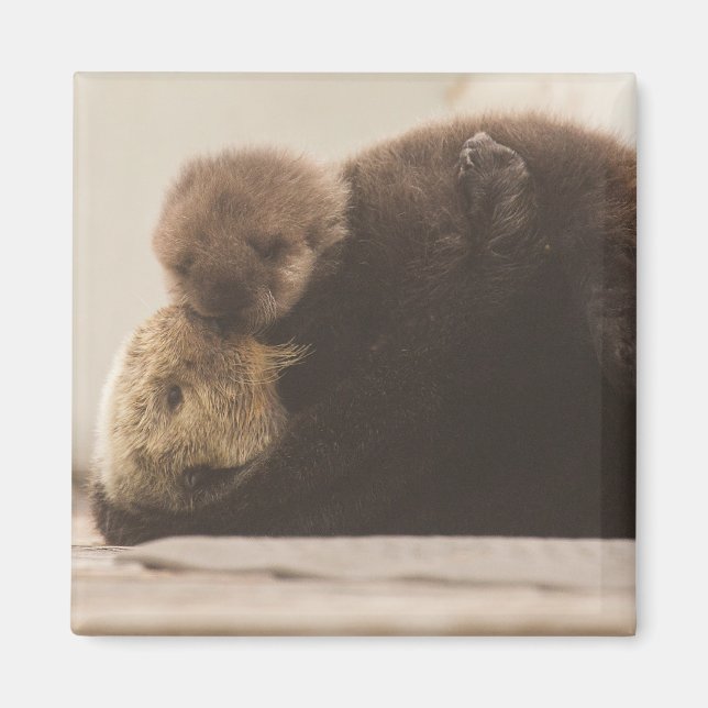 Cutest Baby Animals | Newborn Otter Pup Magnet (Front)