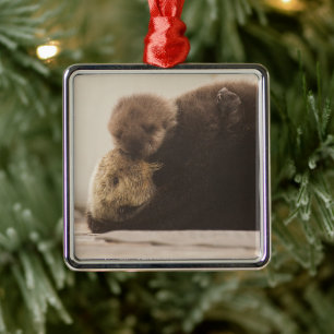 Cutest Baby Animals Newborn Otter Pup Metal Ornament