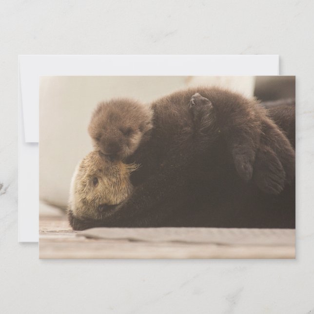 Cutest Baby Animals | Newborn Otter Pup Thank You Card (Front)