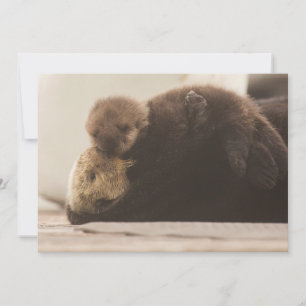 Cutest Baby Animals   Newborn Otter Pup Thank You Card