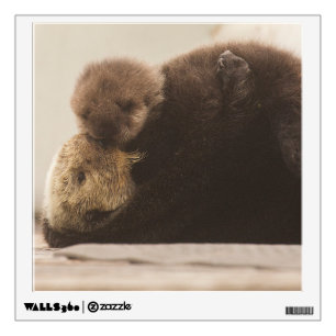 Cutest Baby Animals   Newborn Otter Pup Wall Decal