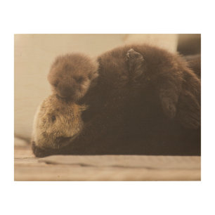 Cutest Baby Animals Newborn Otter Pup Wood Wall Art