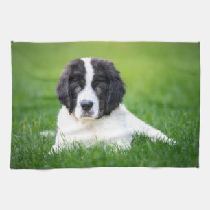 Cutest Baby Animals Newfoundland Puppy Kitchen Towel
