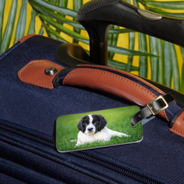 Cutest Baby Animals | Newfoundland Puppy Luggage Tag (Front Insitu 3)