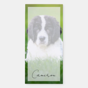Cutest Baby Animals Newfoundland Puppy Magnetic Notepad
