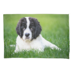 Cutest Baby Animals Newfoundland Puppy Pillow Case